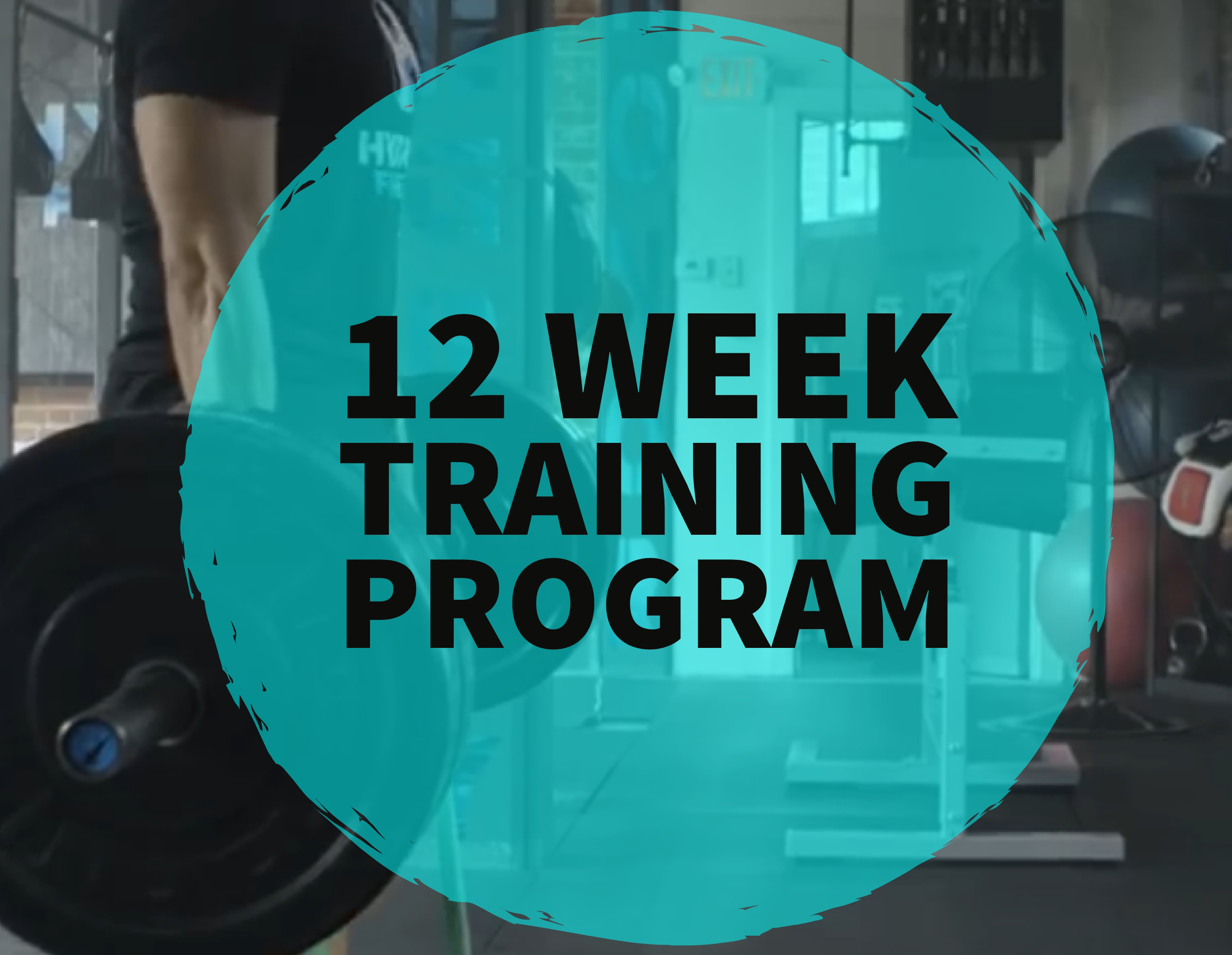 12 Week Online Training